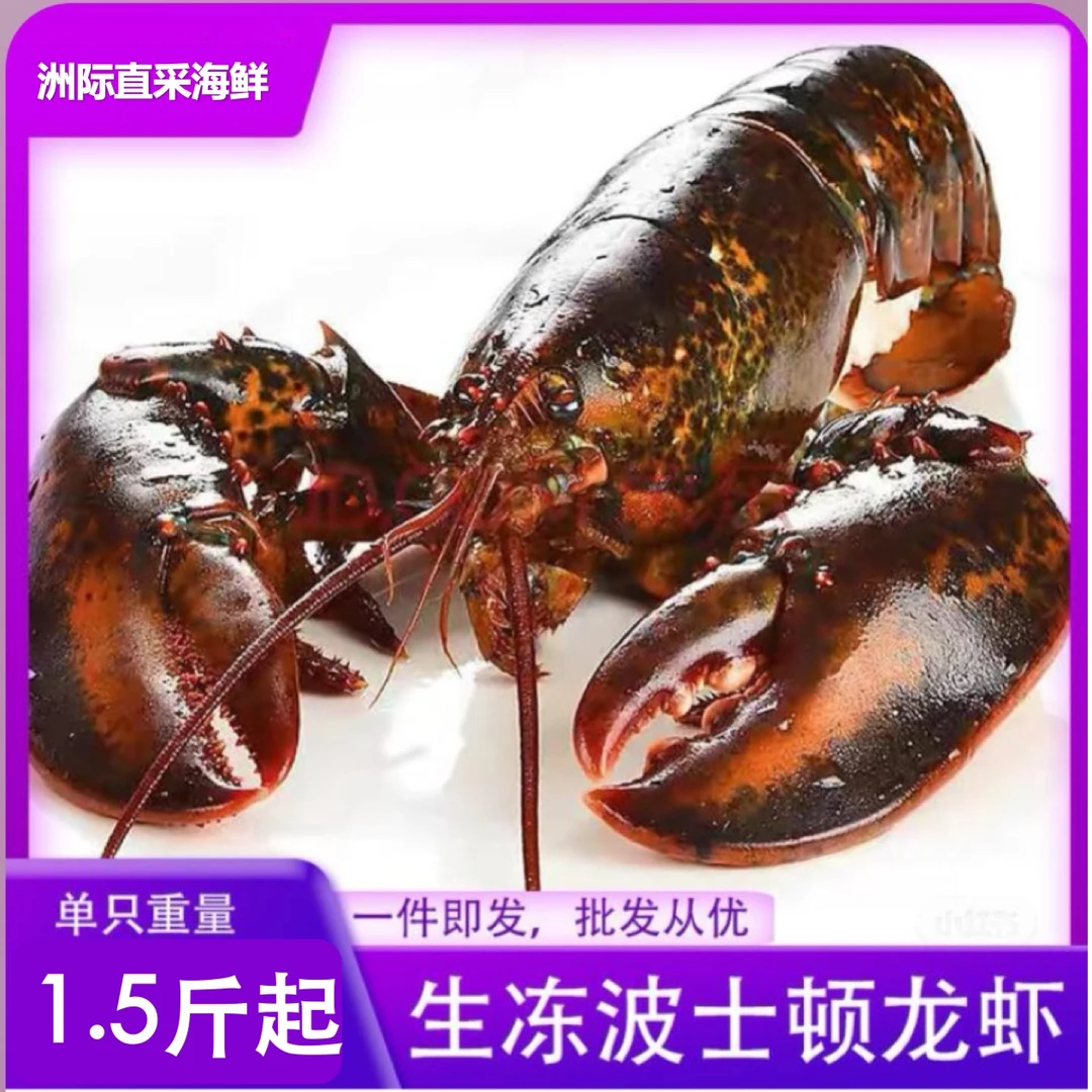 【1.5斤/2斤年货必备】加拿大波龙生冻