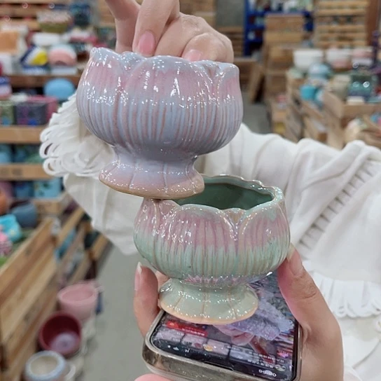 花盆凑单福利满10元发货！