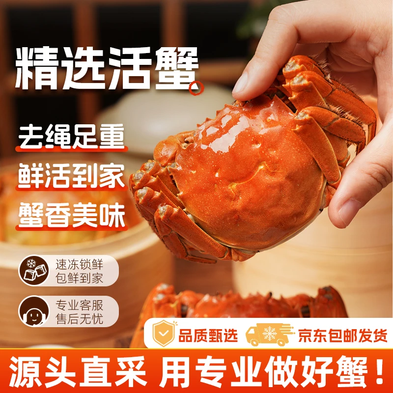 【活蟹】大闸蟹全公3.0/3.5/4.3两 6/8只 去绳足重鲜活螃蟹礼盒l