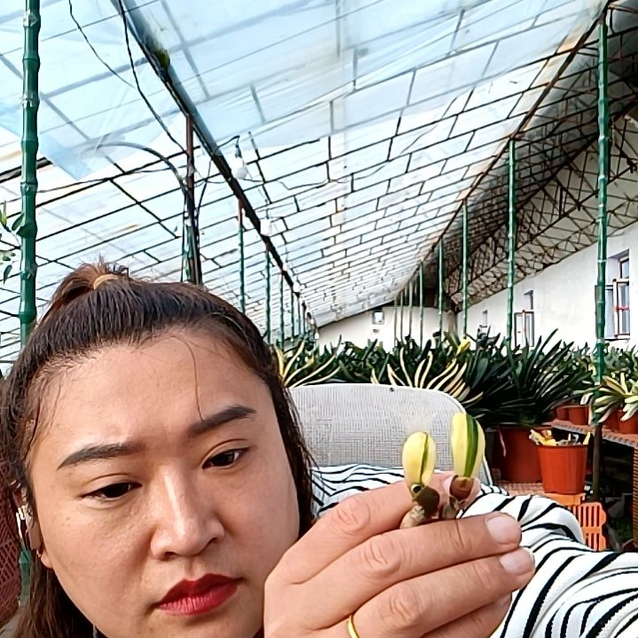 1***月十月一线彩两颗49元