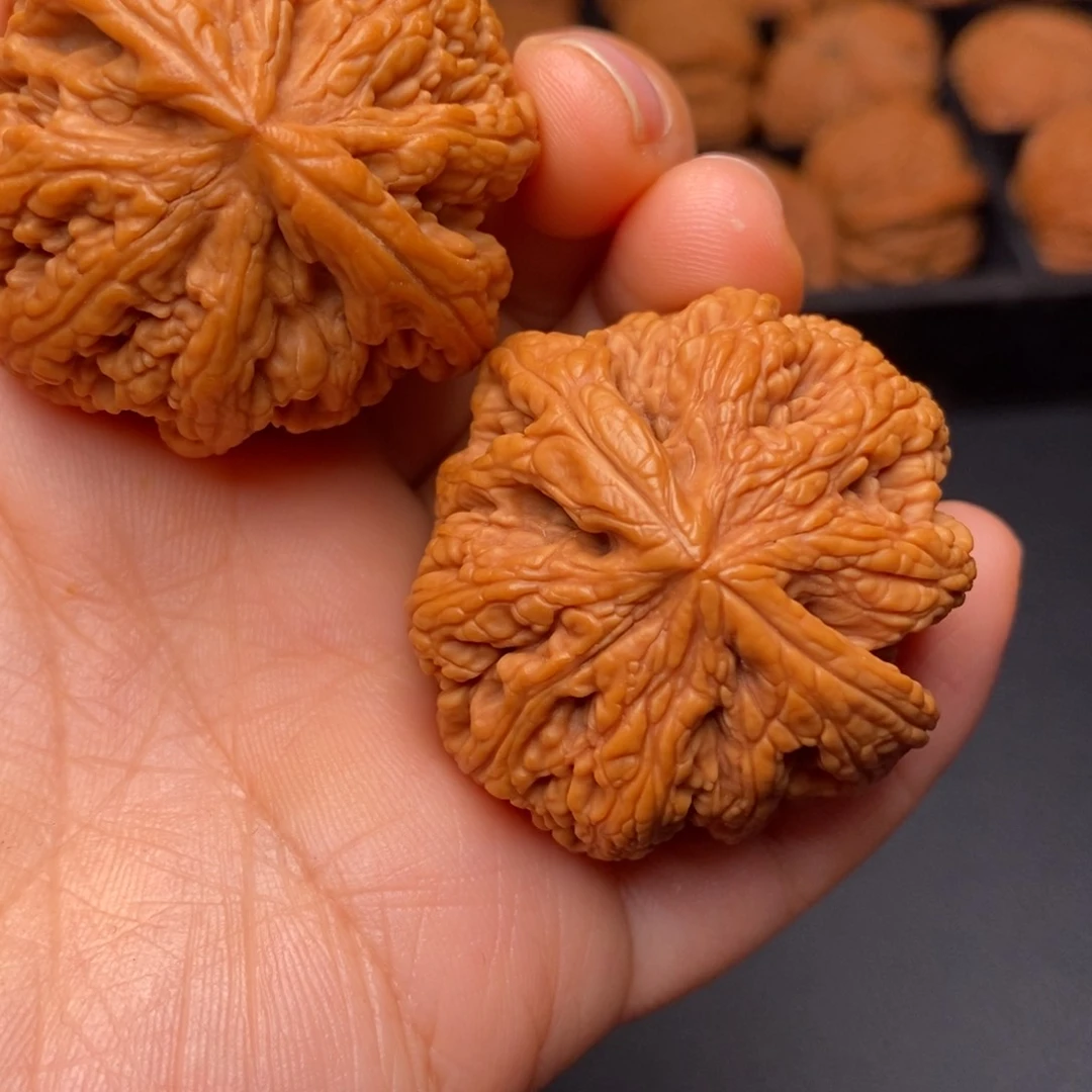 文玩核桃把件秦岭野生核桃
