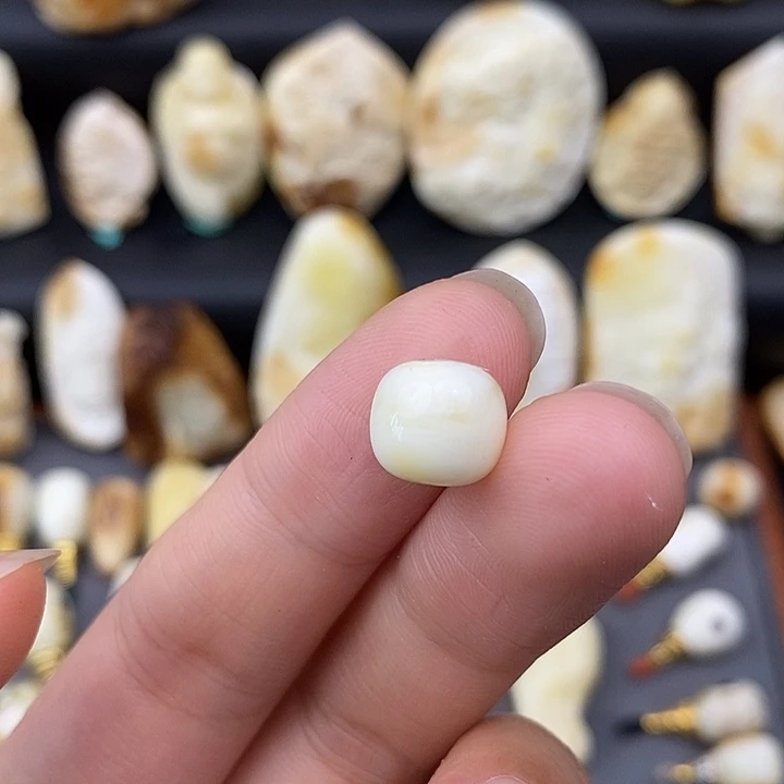 未镶嵌琥珀裸石10×9老邢b473