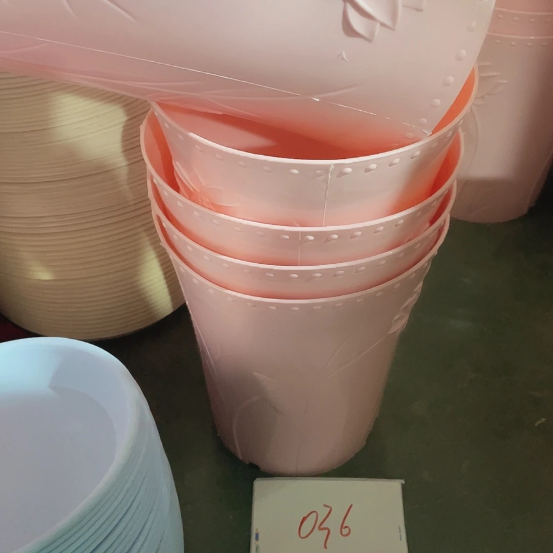 编号是036号的036号的