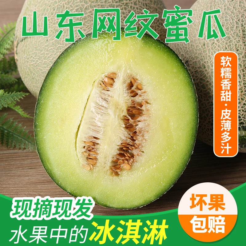 【新品尝鲜】山东网纹瓜玫珑蜜瓜新鲜当季水果口感软糯香甜肉厚