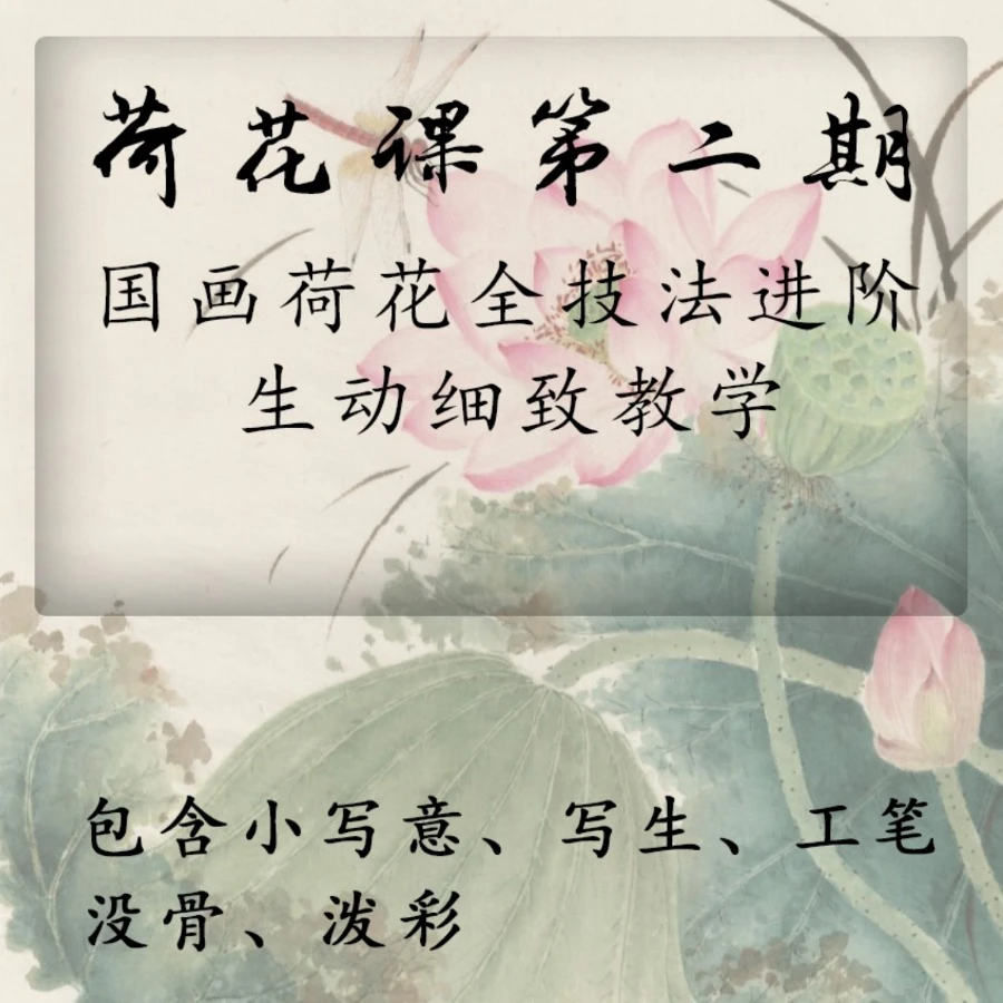 出水芙蓉——国画荷花课程（第二期）