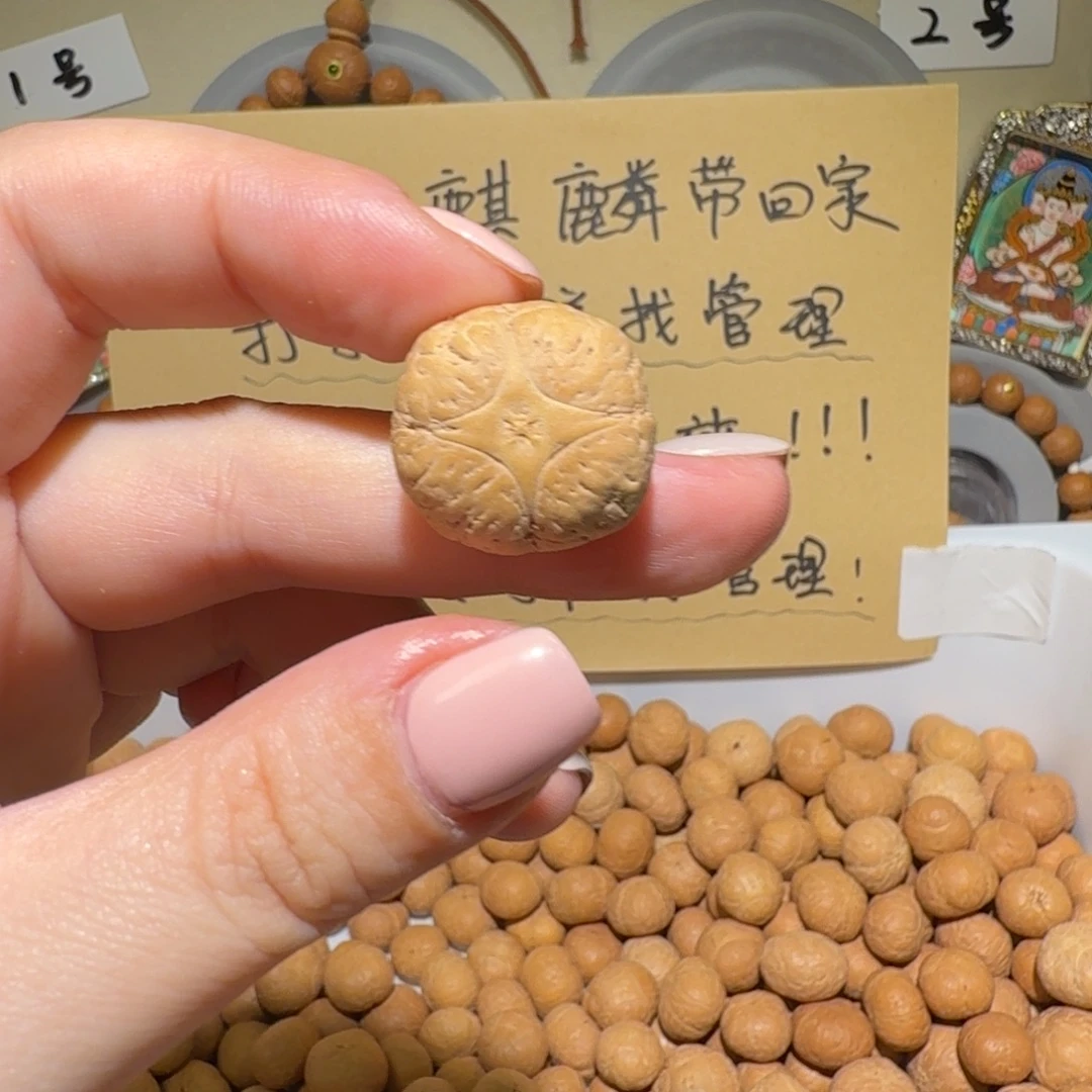 ****一吊坠凤眼菩提一一