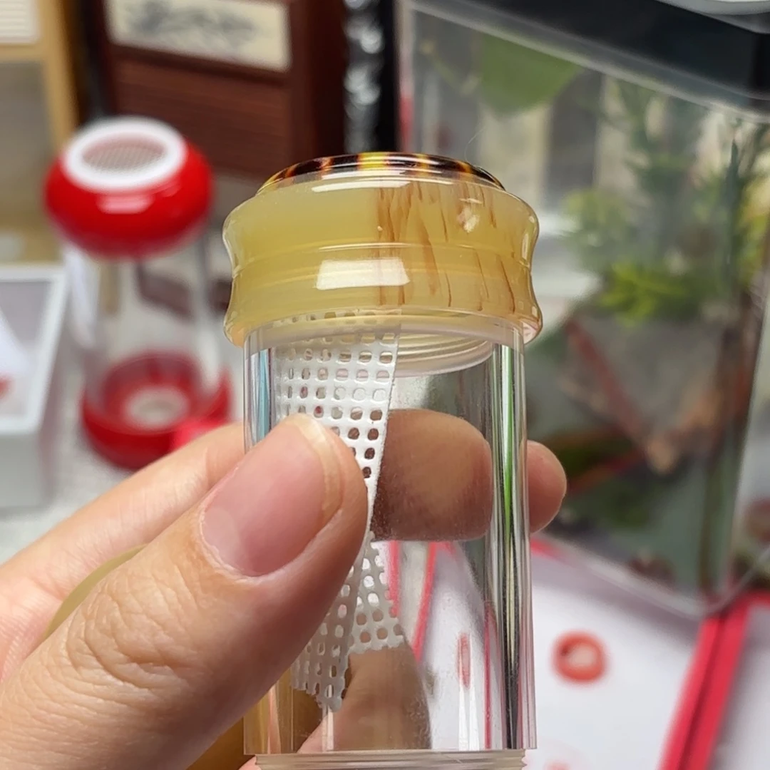 牛角骨筒子加青竹蛉