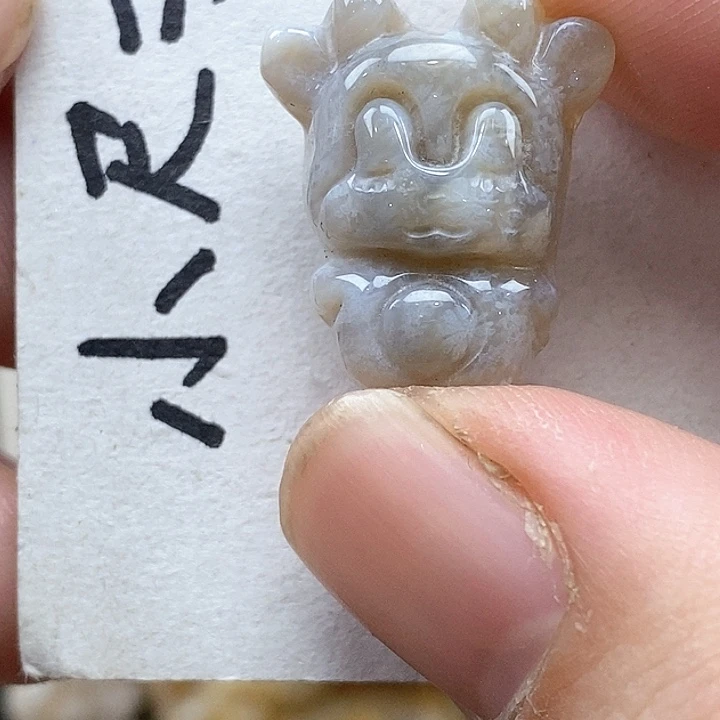 颈饰未镶嵌硅化珊瑚（珊瑚玉）