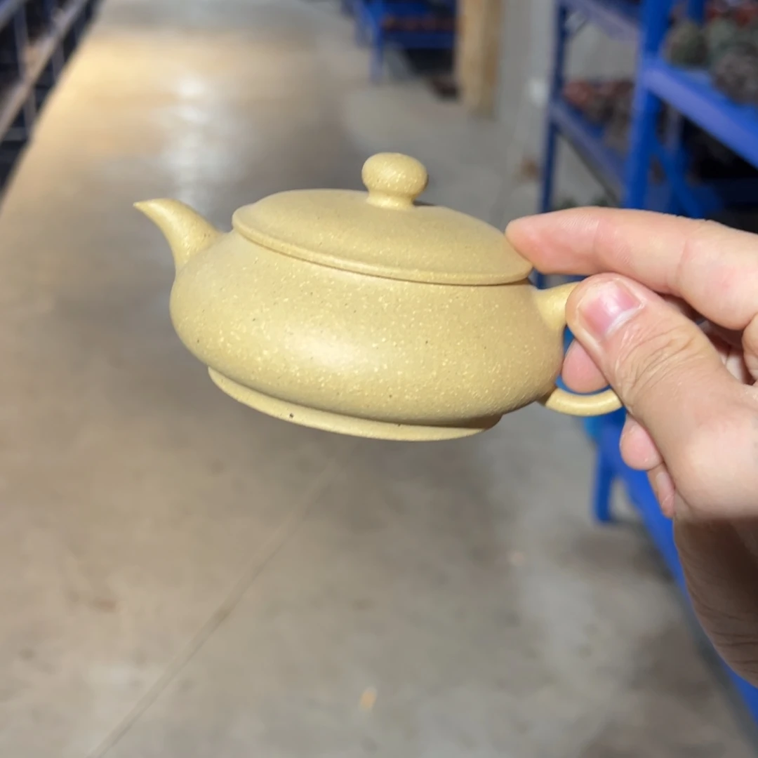 ………………………………………………………………