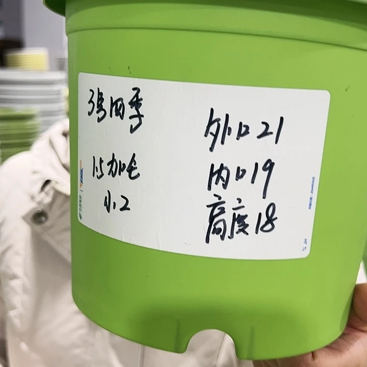 特价四季3号口21高18白色6只无托