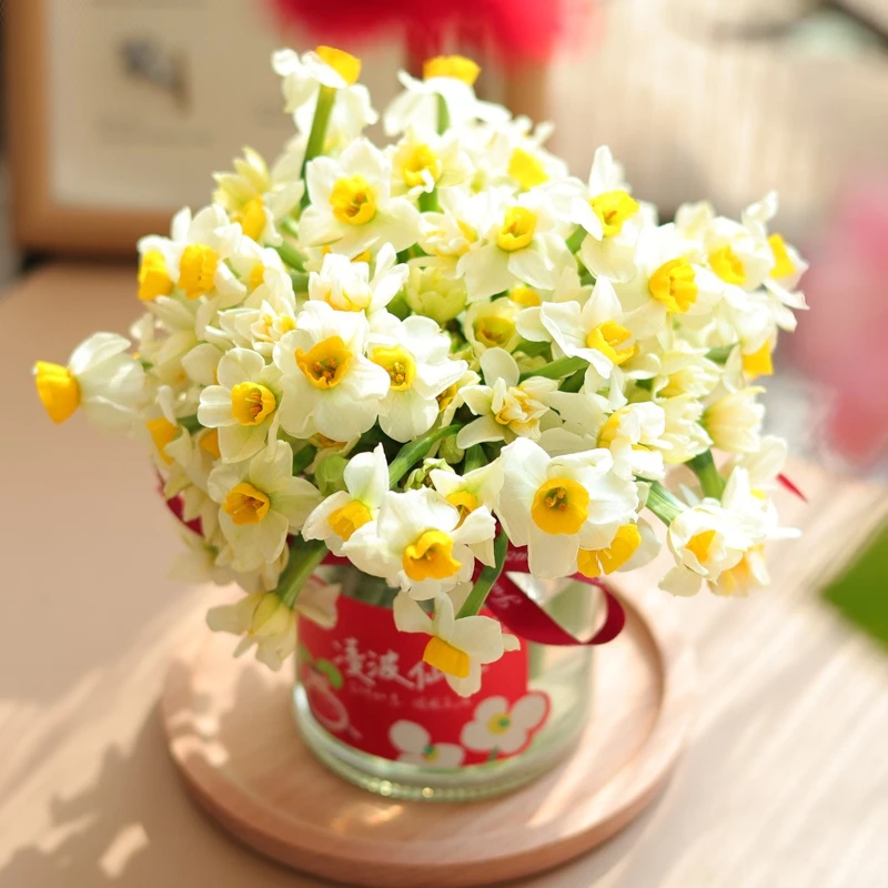 漳州水仙鲜切含玻璃瓶冬季水培年宵花浓香香满屋花卉花材