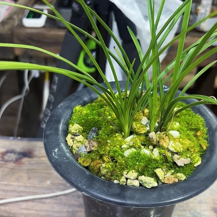 完全开放100抵扣300