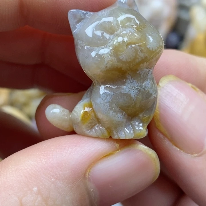 颈饰未镶嵌硅化珊瑚（珊瑚玉）