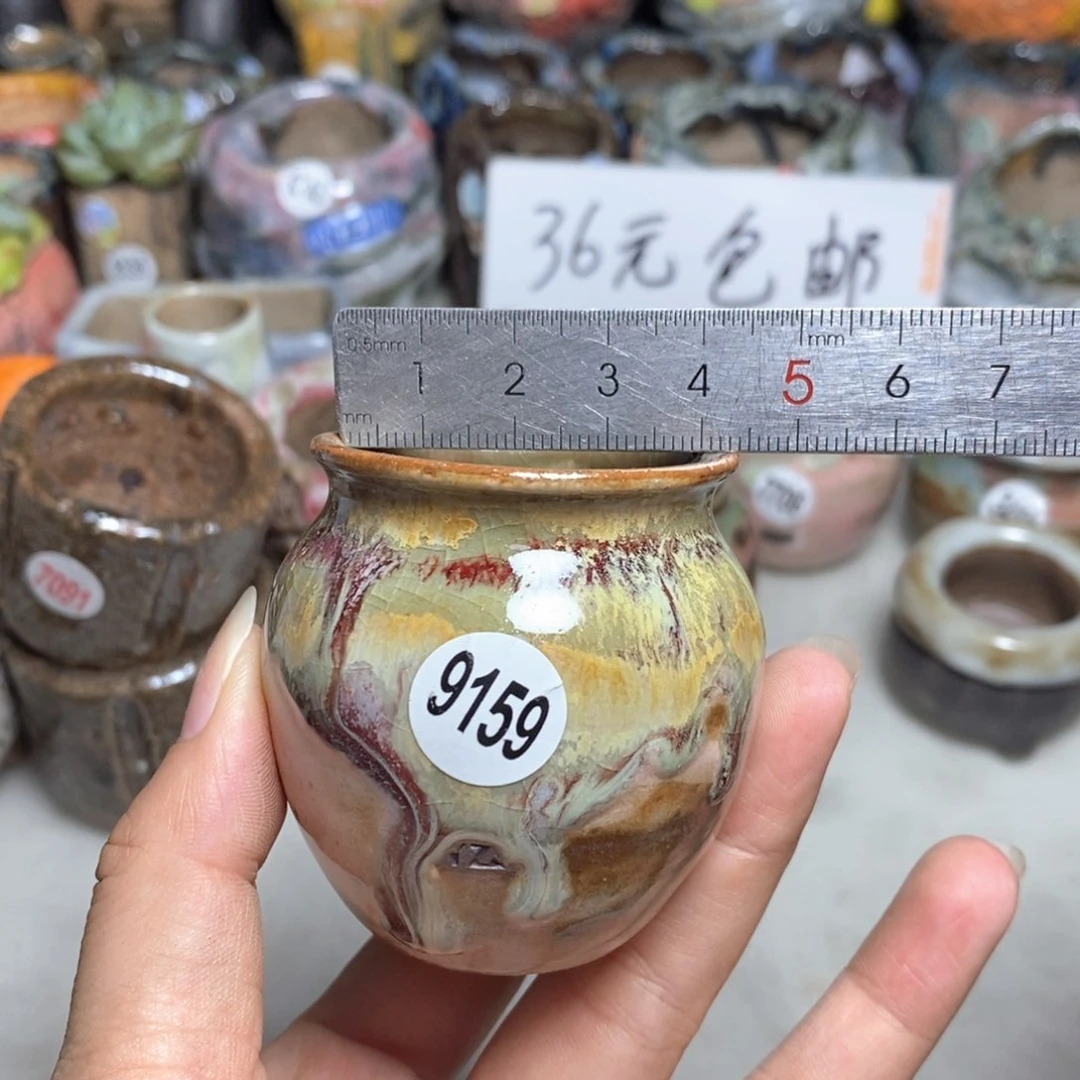 拍5送一个小礼物