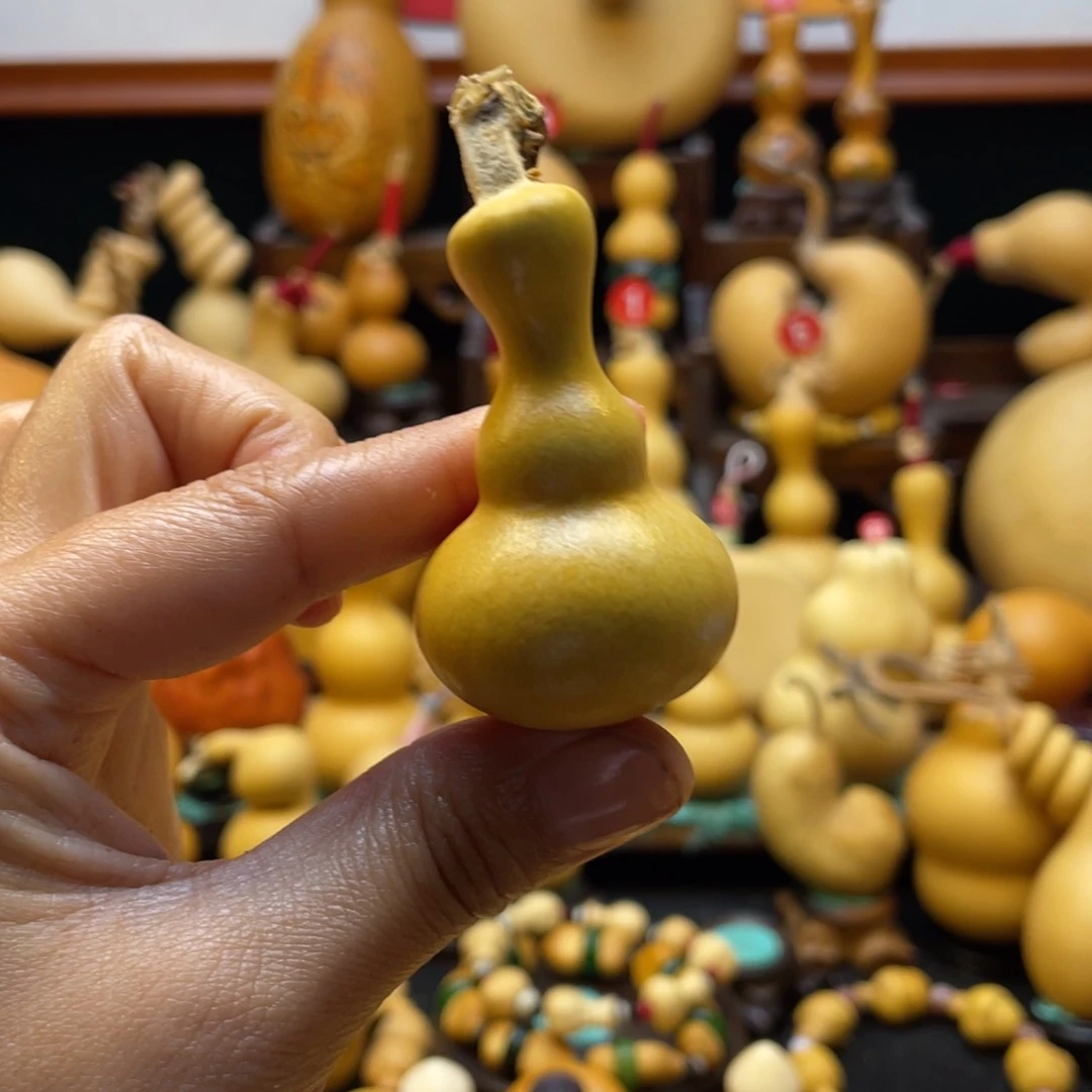 泰****业大自然的秘密第十一节课