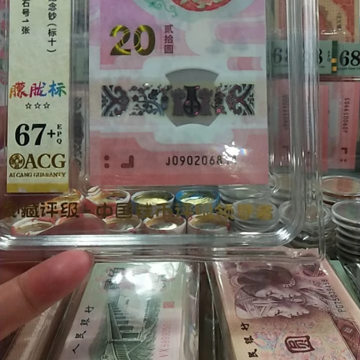 塑料蛇钞朦胧标十67十090206811