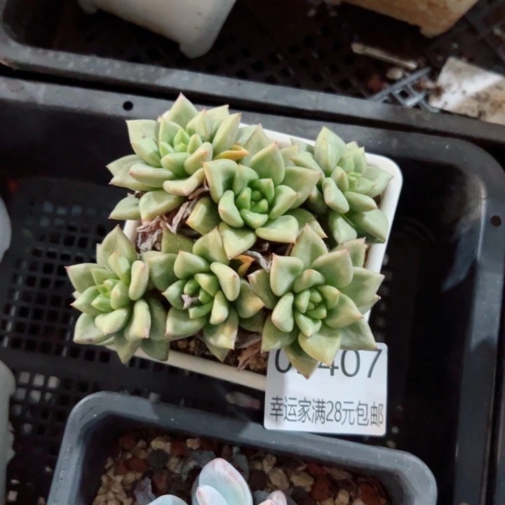 幸运的是我没有遇到过这么