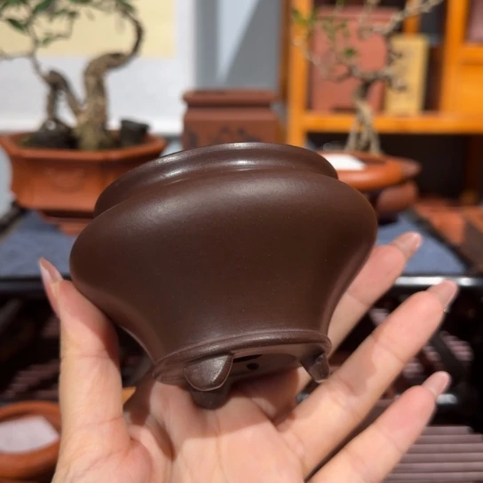 花盆紫砂口径7深度5.5