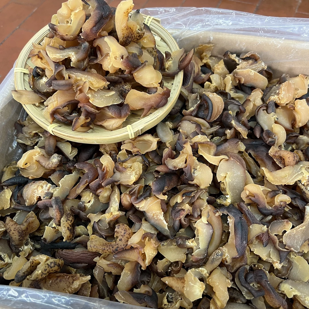 【切块螺肉干】海螺肉螺头海鲜干货新鲜淡干煲汤材料