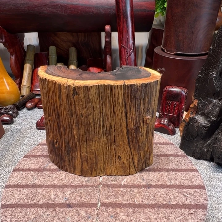 扫***僧大果紫檀（缅甸花梨）
