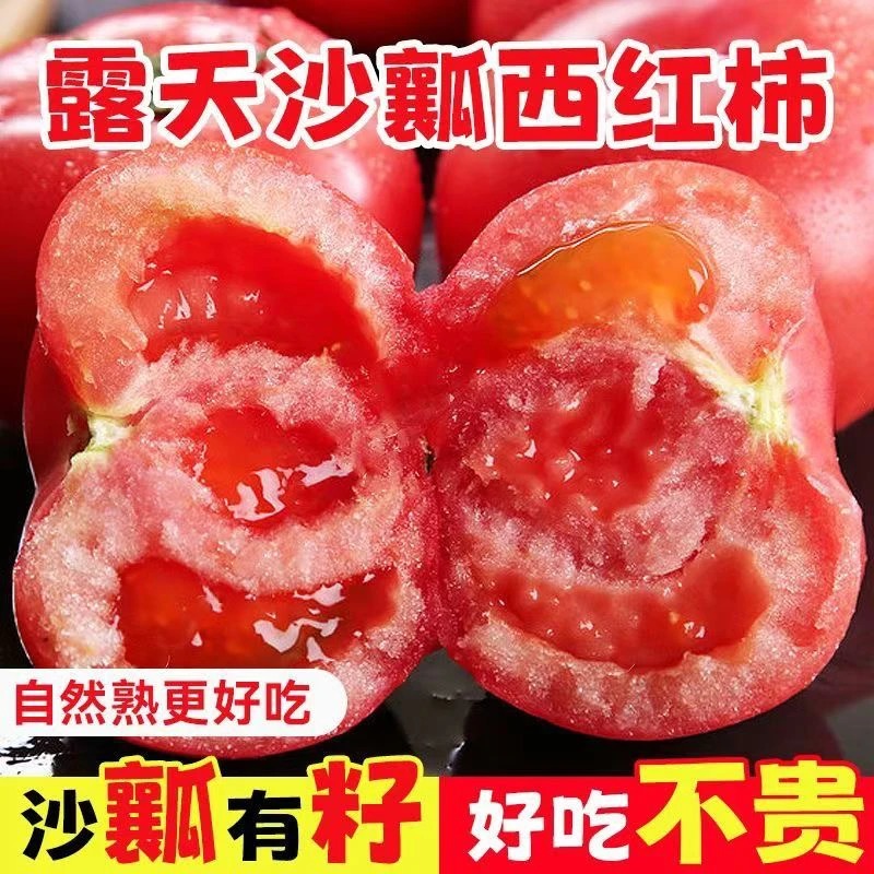 湖北露天水果西红柿新鲜沙瓤自然成熟现摘现发1斤包邮