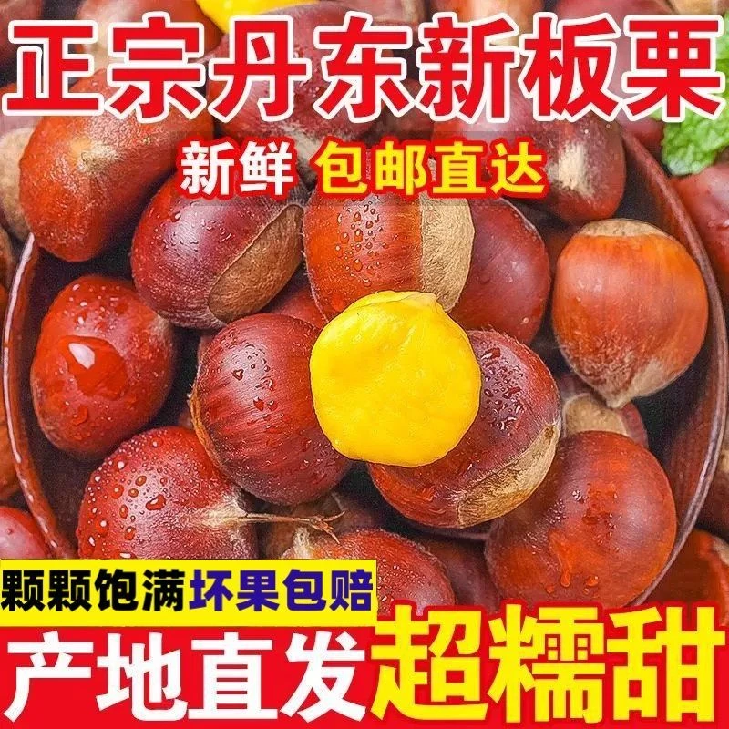 [买3斤送2斤]新鲜现摘高山板栗|生栗子甘甜清脆鲜香|送栗瓜}