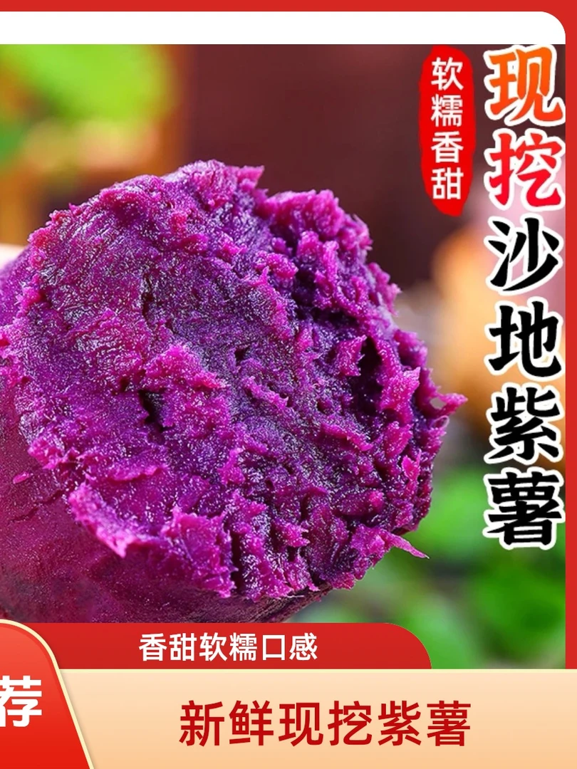 湖北沙地种植新鲜现挖紫薯番薯粉糯香甜健康代餐粗粮