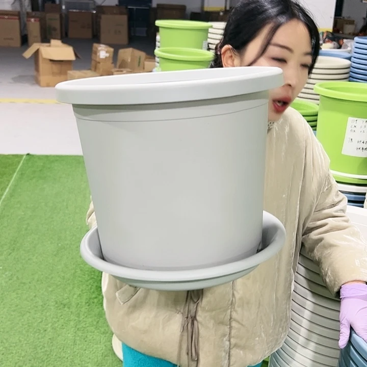 特价6号四季口32.5高27.7灰色5只带托