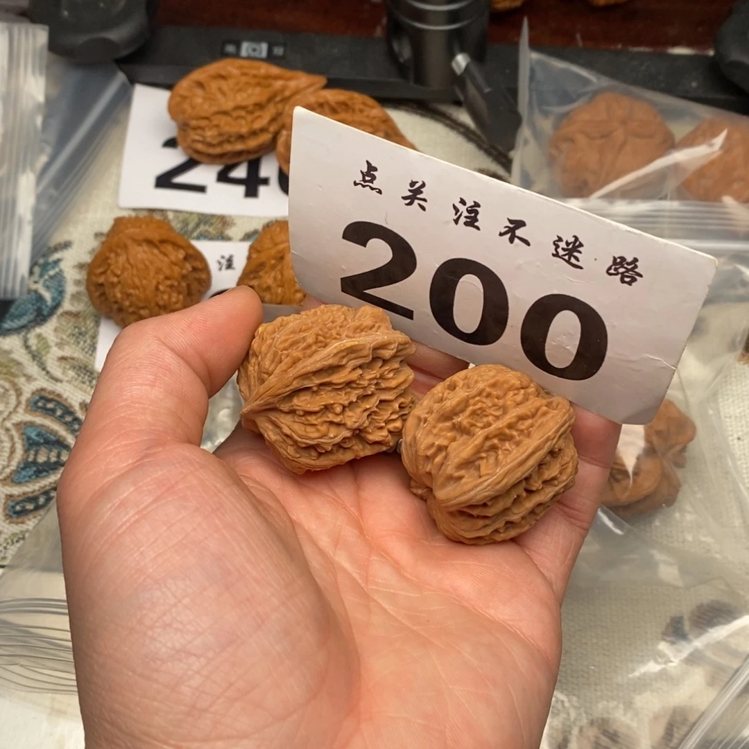 核桃39楼子哈哈哈哈哈