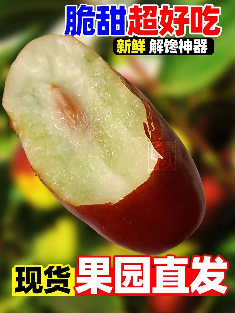 顺丰宁夏灵武长红枣比冬枣脆甜只做品质不做小果