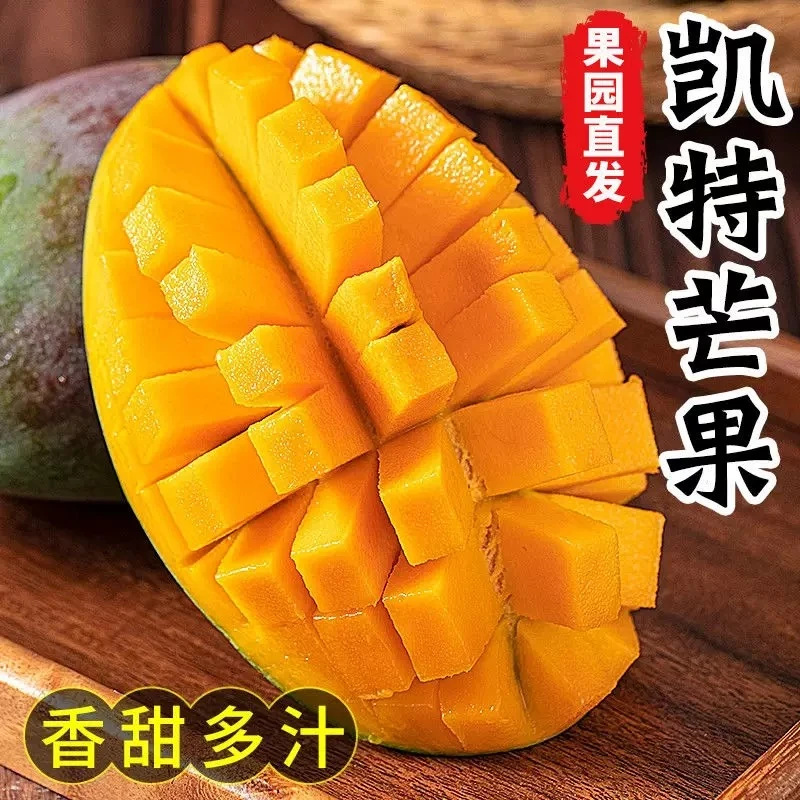 正宗新鲜凯特芒果头茬攀枝花青皮大脸芒果香甜多汁现摘果园直发