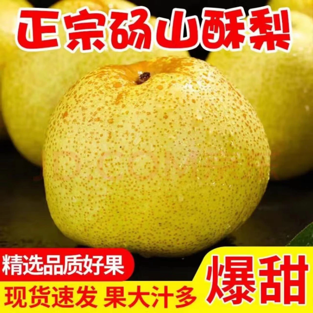 正宗砀山酥梨微黄口感更佳纯甜新鲜水果梨子砀山梨爆甜酥脆可口