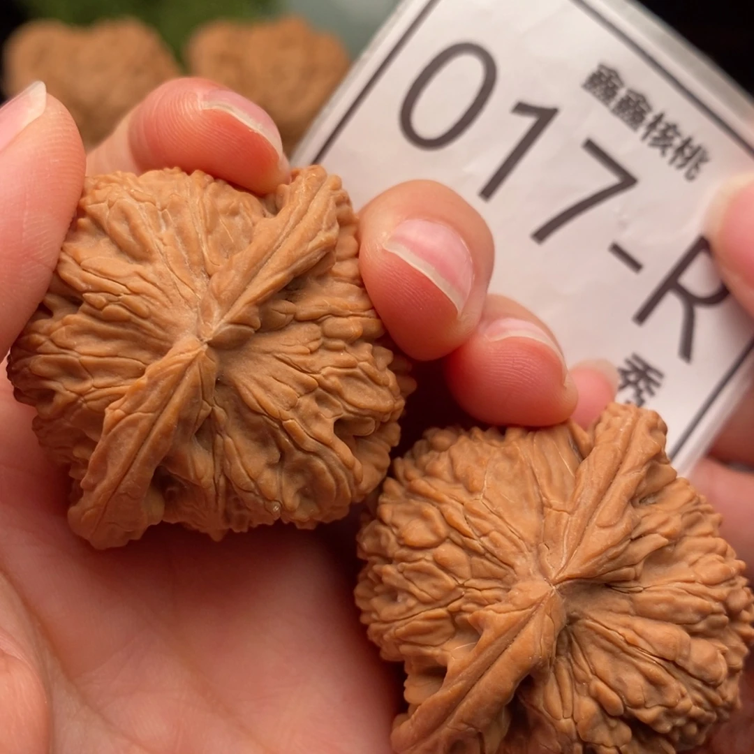 把件文玩核桃白狮42