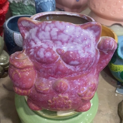 粉色招财猫的，，的，d