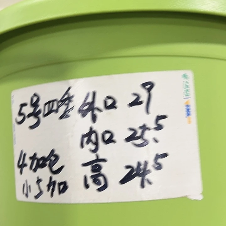 特价5号口29高24.5白色5只无托