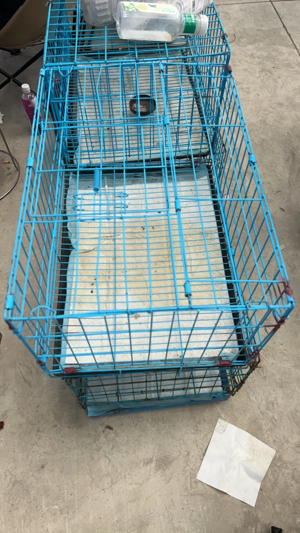 狗狗活体通用笼子