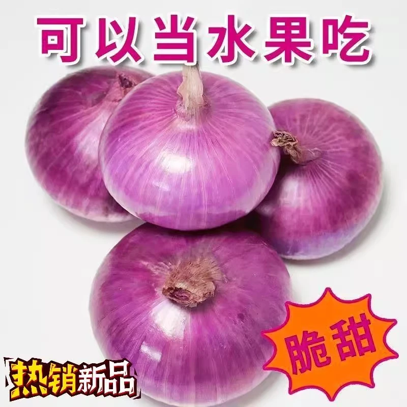 河南水果洋葱10斤新鲜紫皮圆葱蔬菜当季扁大红洋葱头甜味生吃脆甜