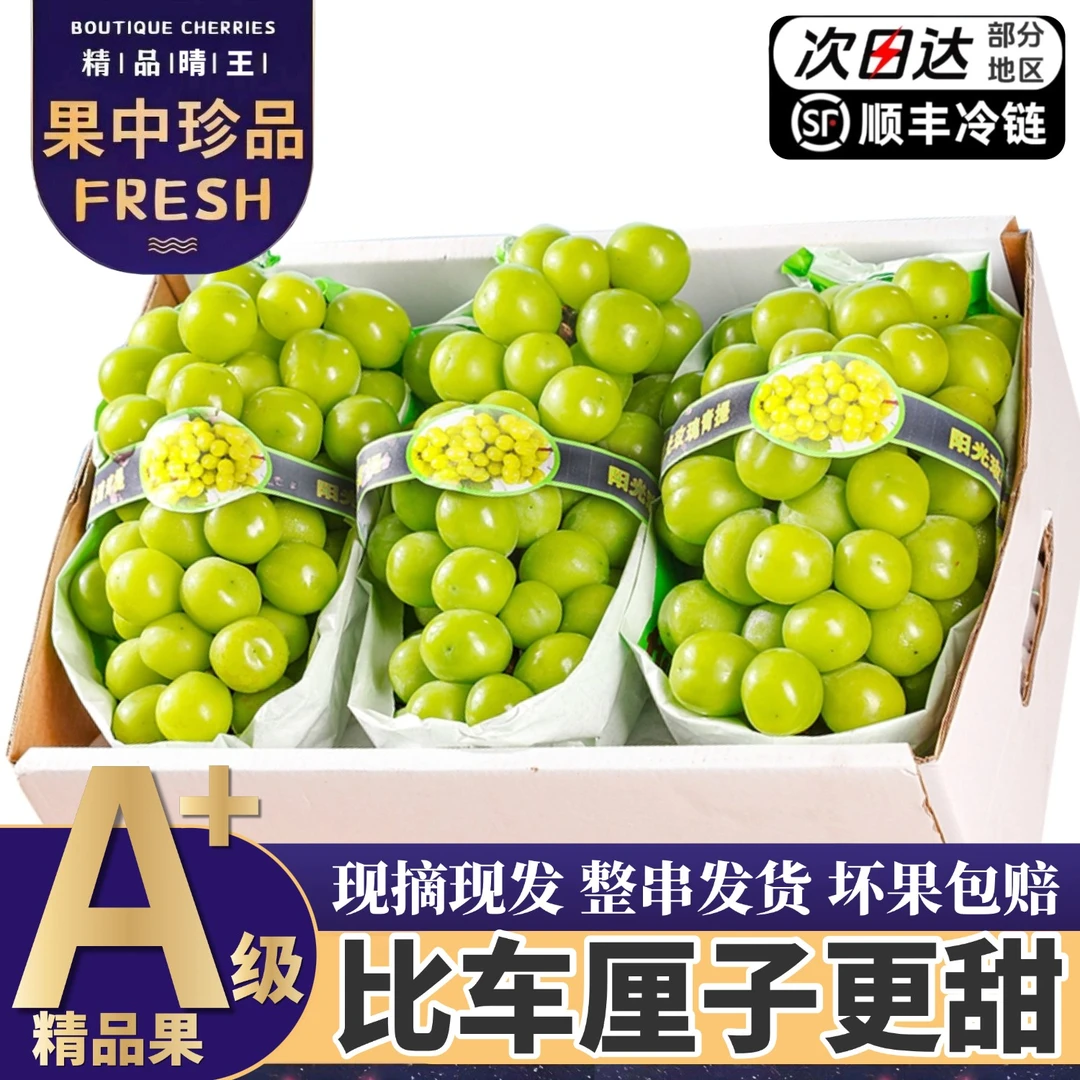 顺丰次日达【5斤大果整箱】精品阳光玫瑰葡萄当季新鲜现摘3/5斤Q
