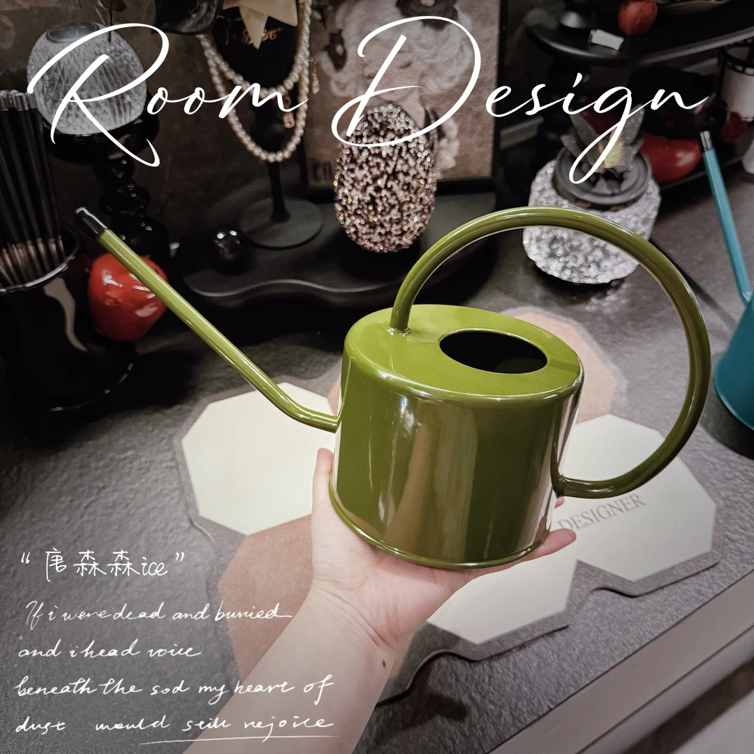 园艺长嘴浇水水壶家用养花浇花神器浇花水壶长嘴浇水壶铁艺