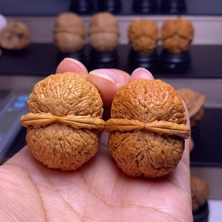 文玩核桃把件脑纹元宝45