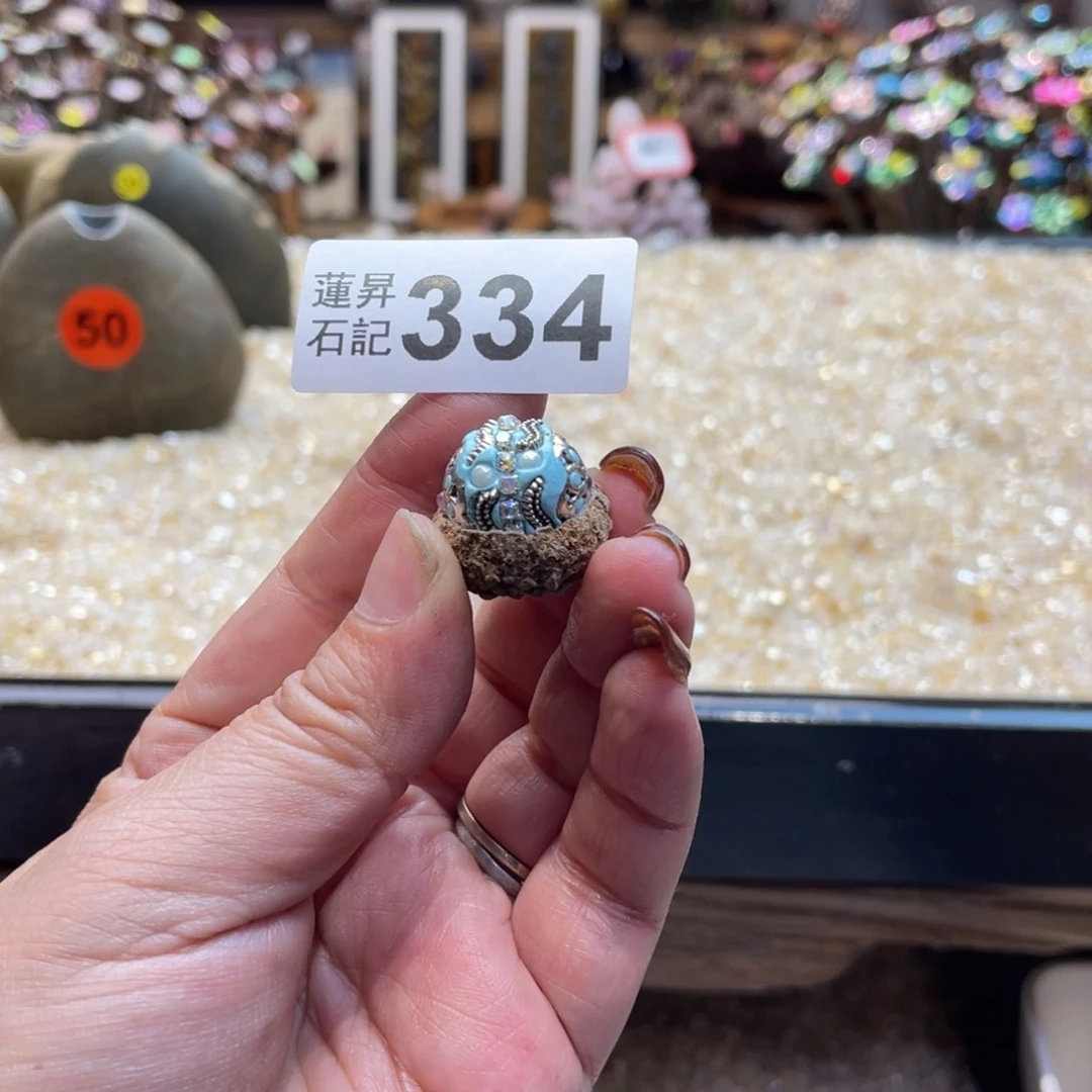 核桃木/黑胡桃（胡桃木）安****子334