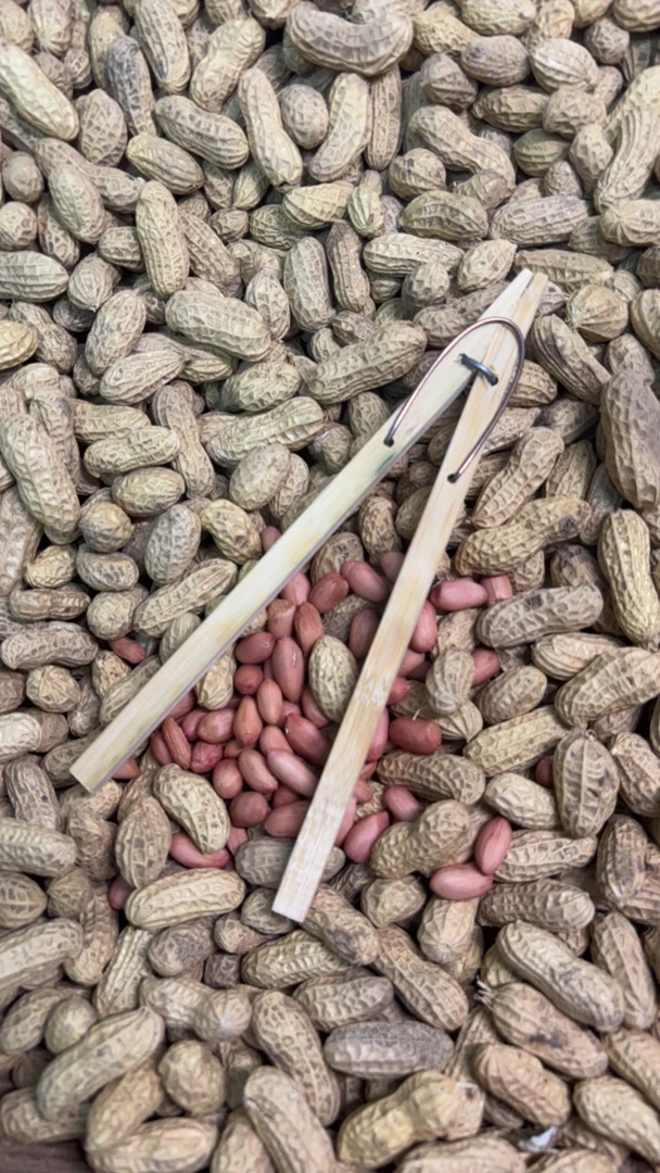 手工制作剥花生夹子