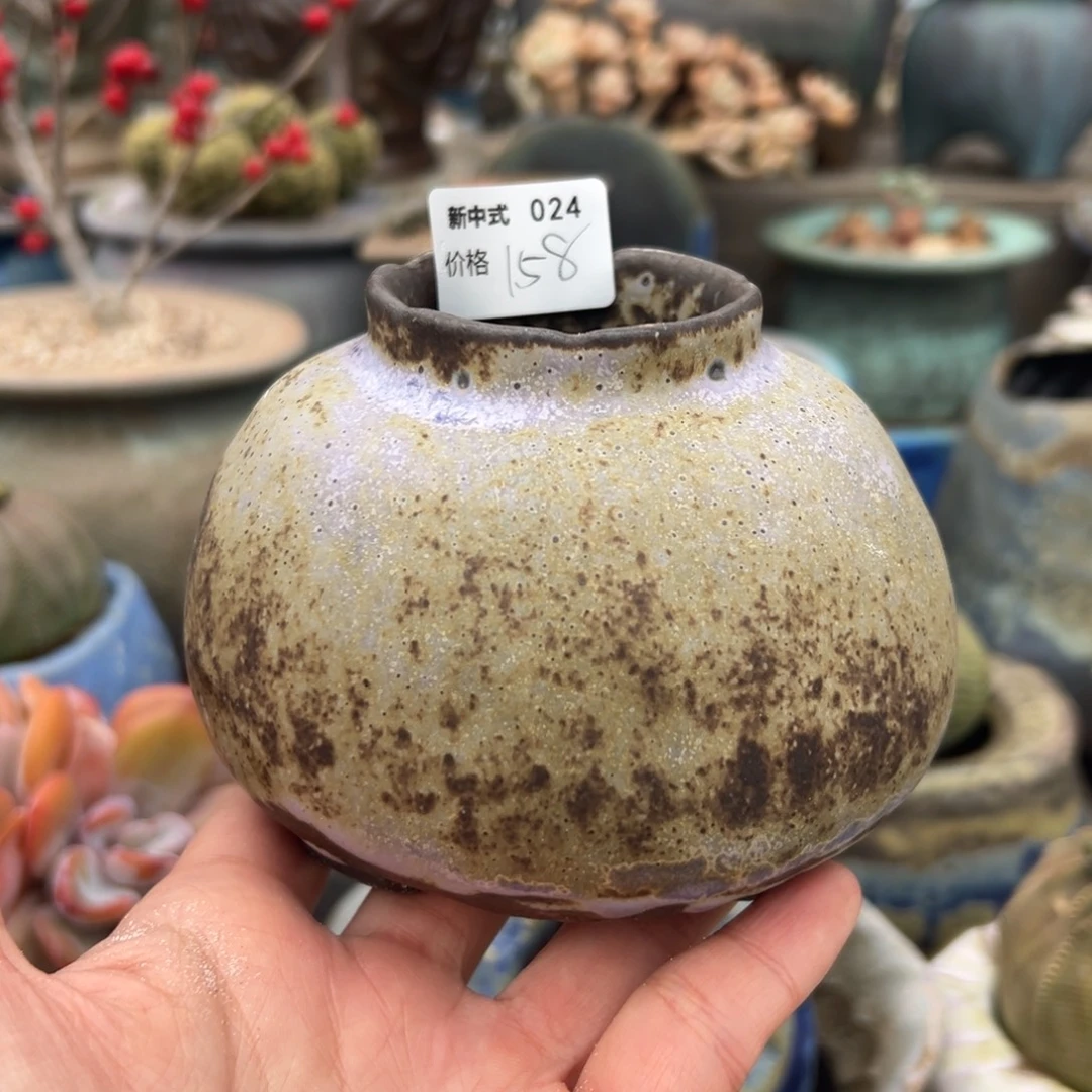 1987新中式多肉盆024