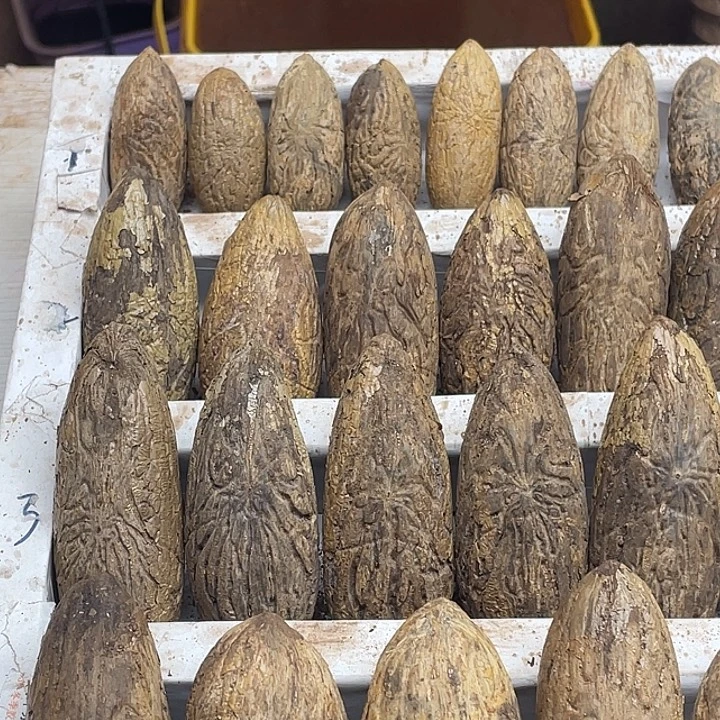 玉****菩提11111111111111111111