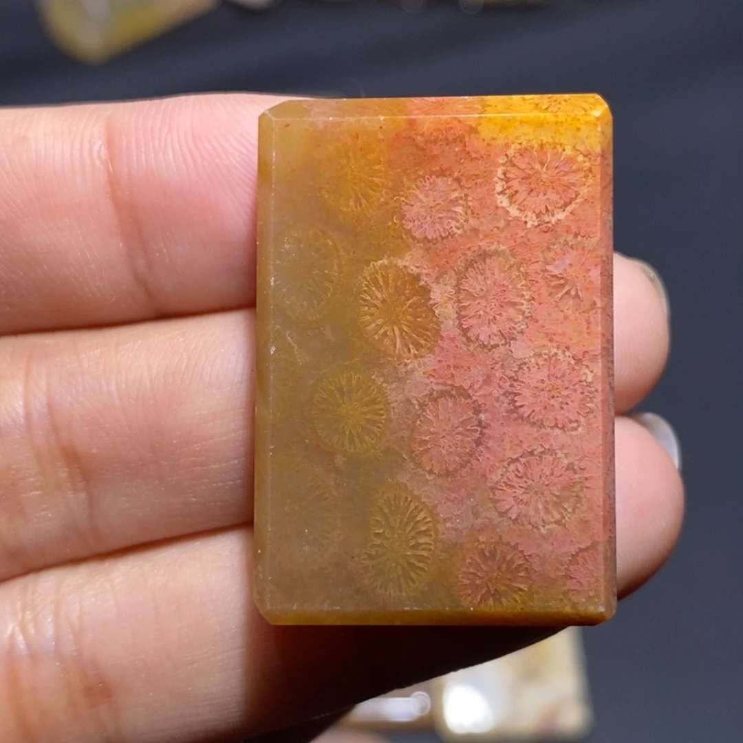 【闪购商品】未镶嵌珊瑚玉硅化玉