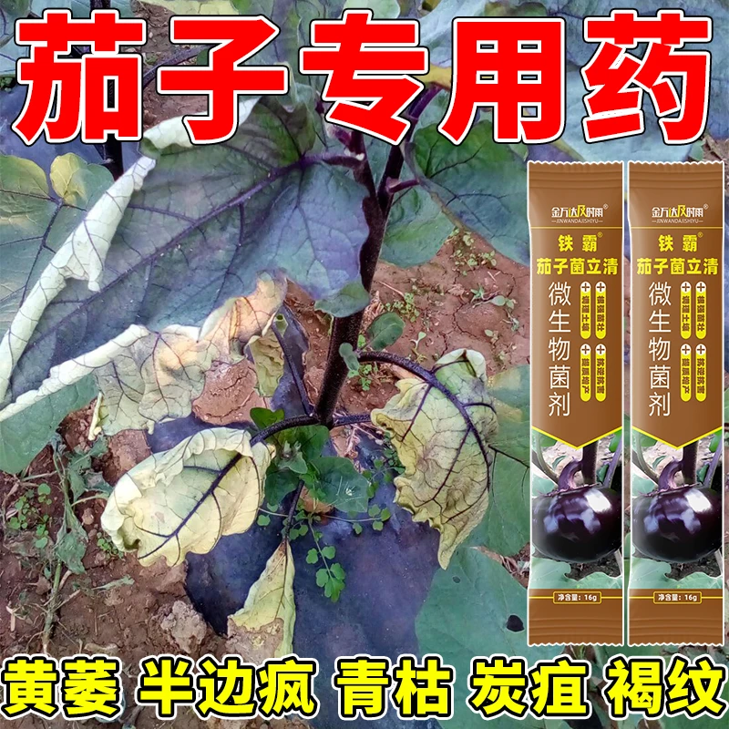 茄子专用药茄子病全治杀菌剂灰霉病炭疽病菌核病疫病枯萎病专用药