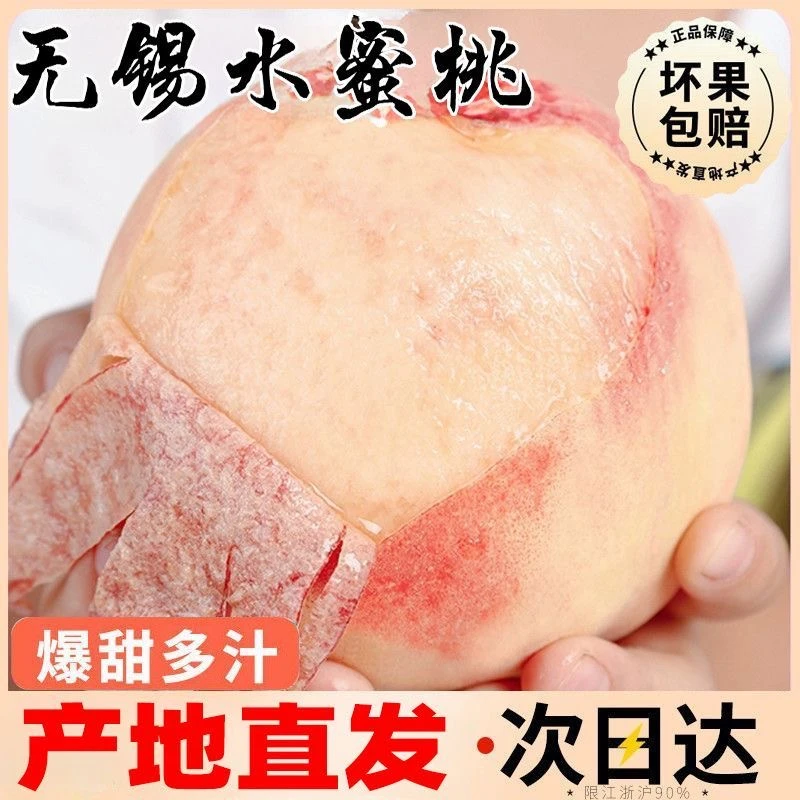 【买6送6到手12只】礼盒装正宗无锡水蜜桃新鲜水果应季白凤湖景软桃