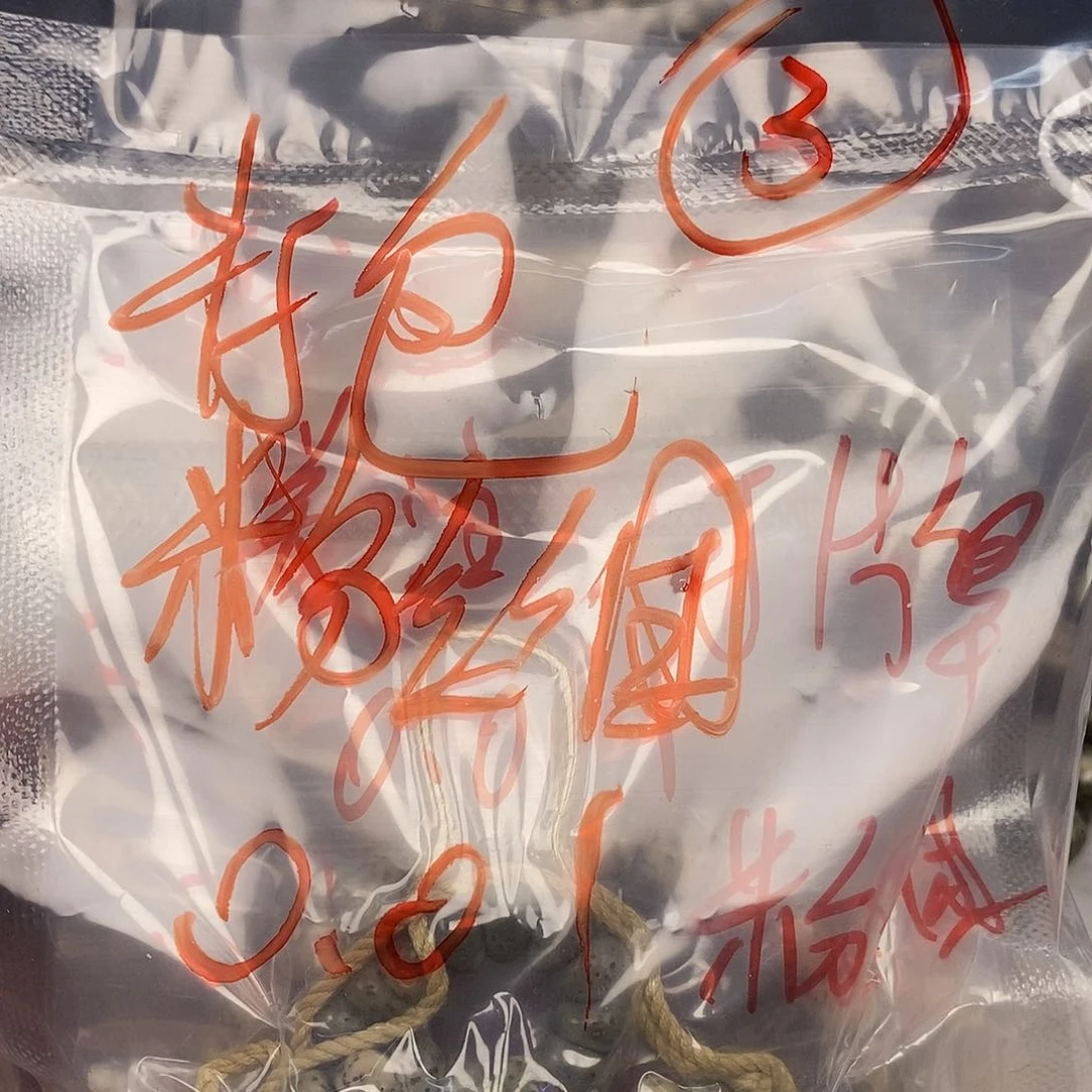 星月菩提吊坠皆*非闪购3打包