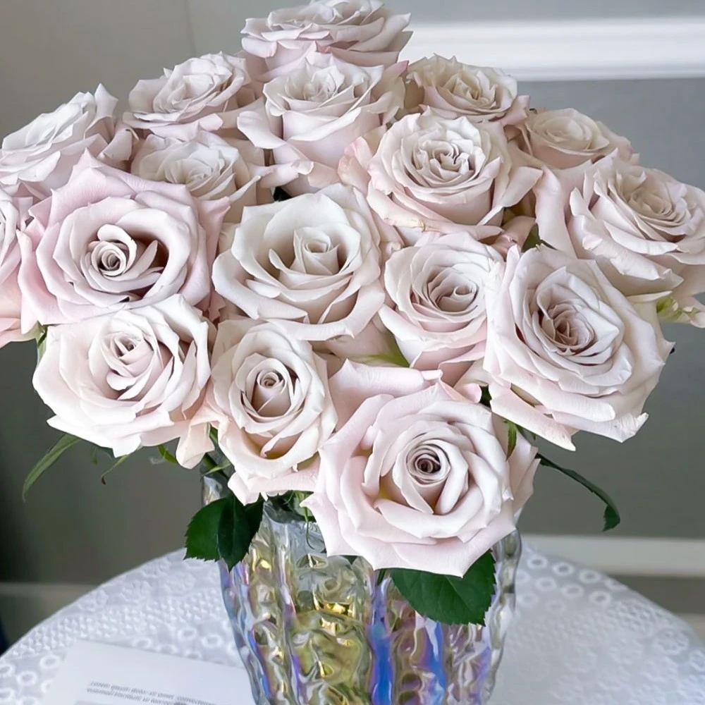 《曼塔玫瑰》20枝云南鲜花曼塔玫瑰新鲜采摘基地直发适合家居插花