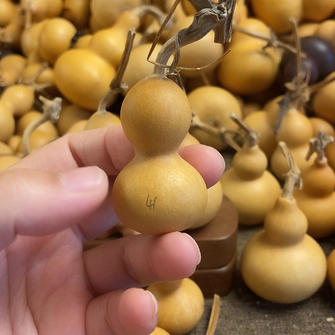 文玩葫芦 完美主义者 慎拍41